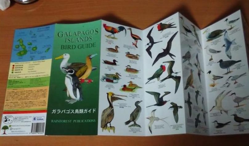 ガラパゴス鳥類ガイド（米国出版社Rainforest Publications）の日本語版